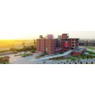 MBA,Vidya institute of training and development,MEERUT