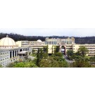 MBA, MIT School of Management, Pune