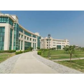 M.DES Shiv Nadar University,Greater Noida