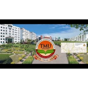 MFA Teerthanker Mahaveer University,Moradabad