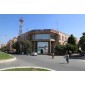 BFA PDM University,Bahadurgarh