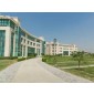 M.DES Shiv Nadar University,Greater Noida